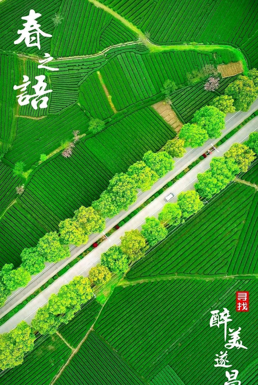 带你看遂昌的撩人春色