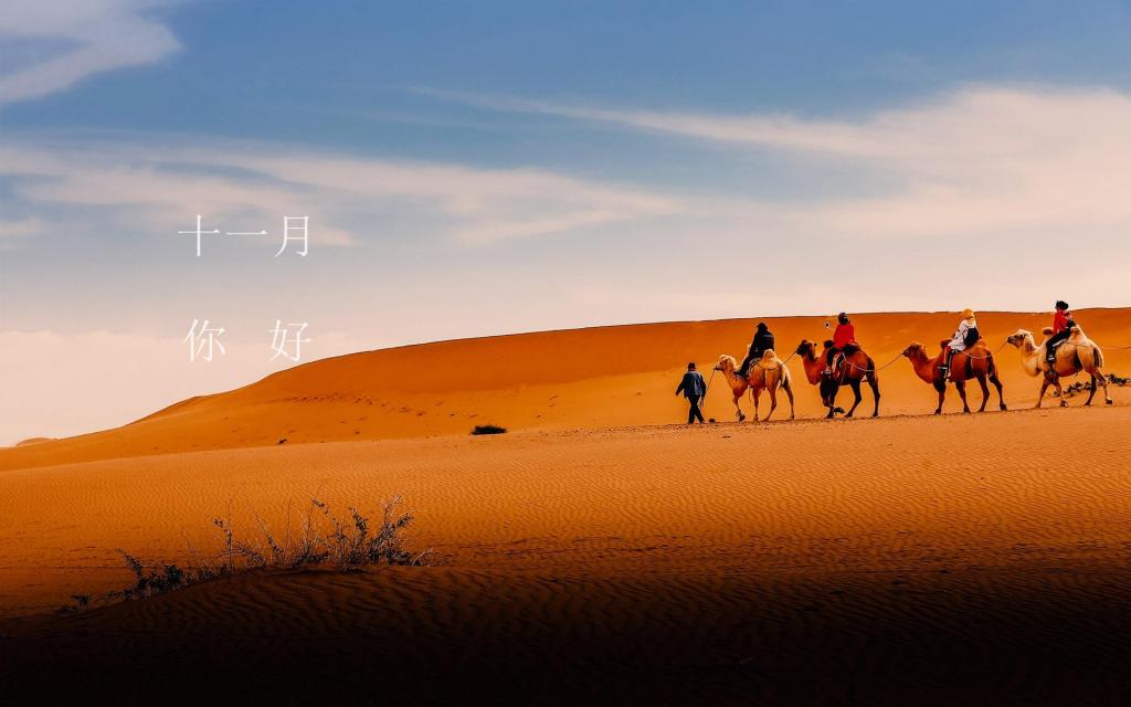 十一月愿你安好