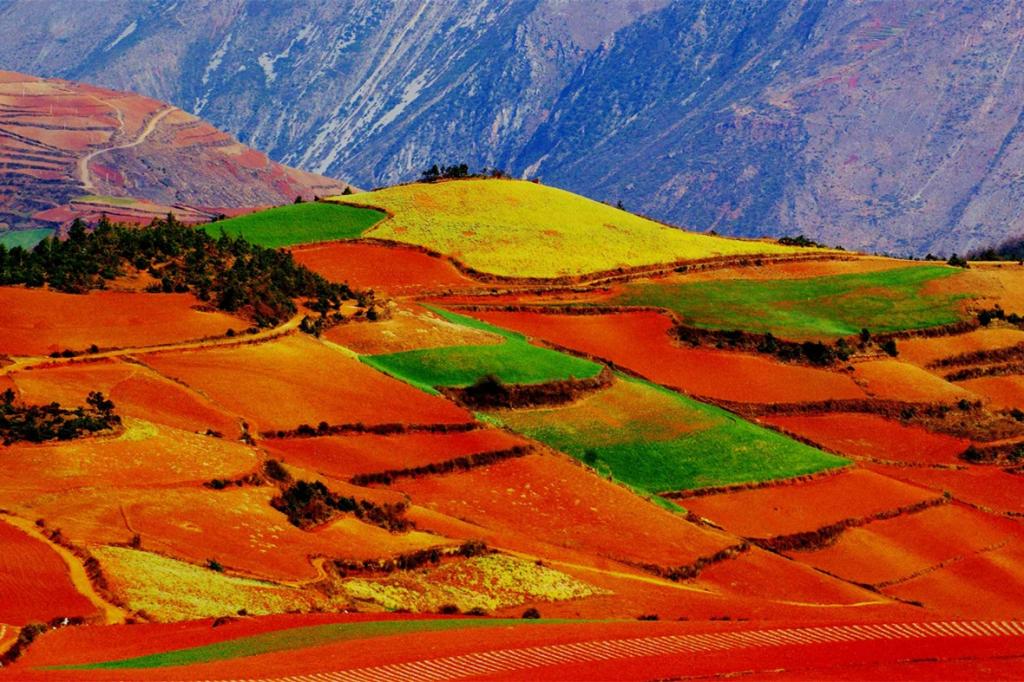 唯美的东川红土地