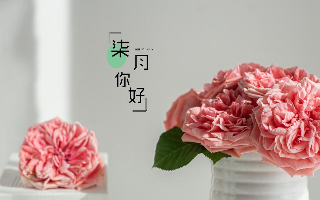 迎接最美的七月说说配图