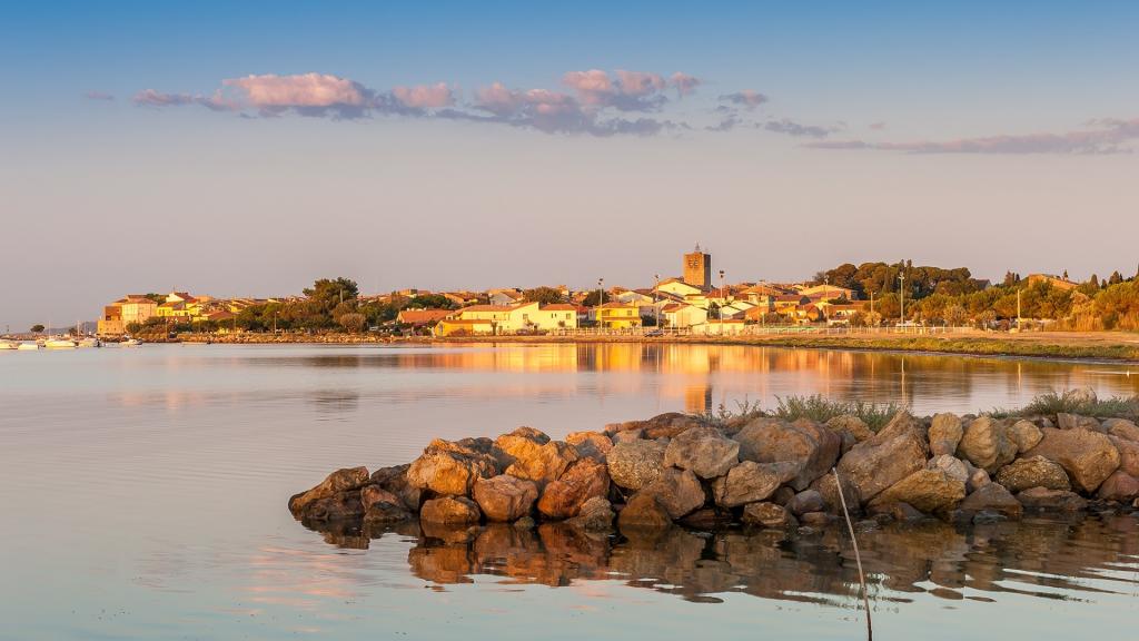 清新护眼的风景