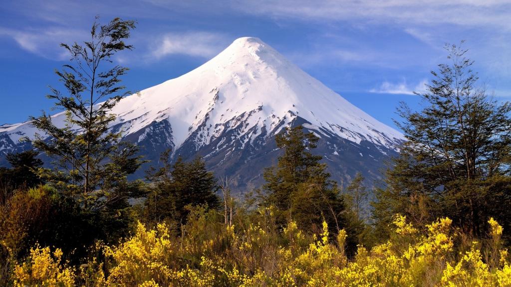 雪天里的大自然