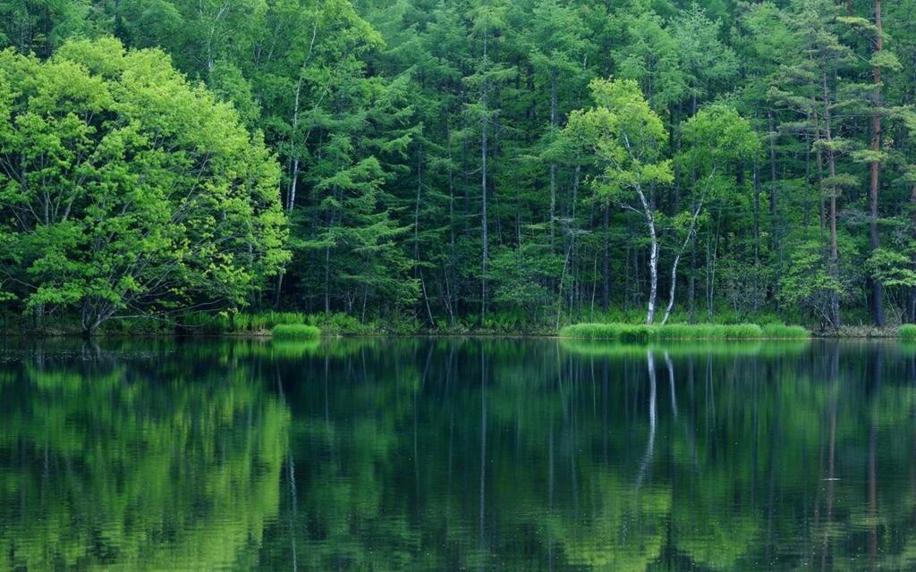 唯美的山水风光