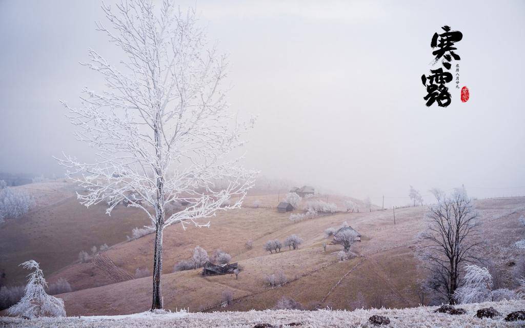 霜叶飘散寒露至