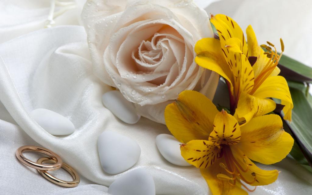 唯美的结婚婚戒