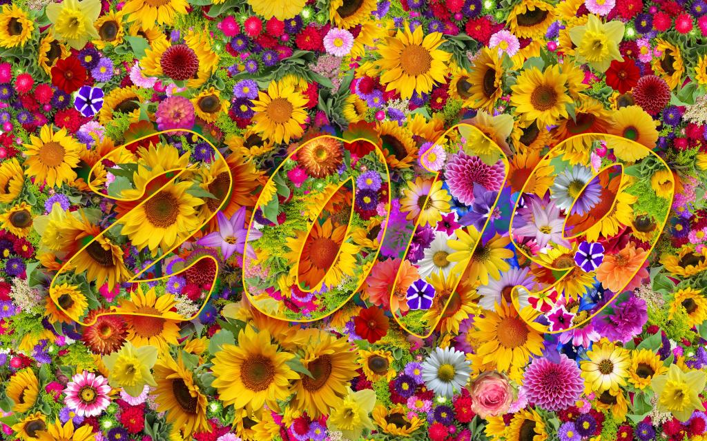 2019炫彩创意数字