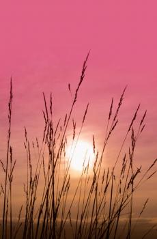 落日余晖唯美风光