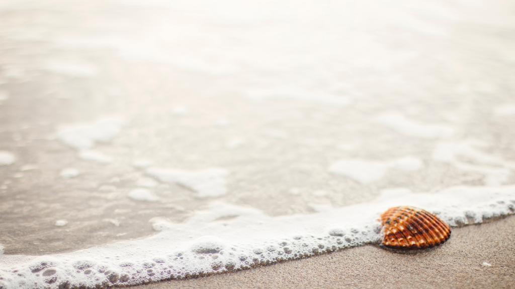 海是我的精神家园