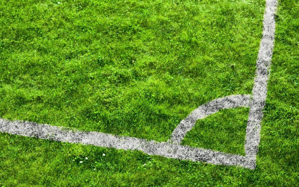 绿色护眼足球场,高清图片,电脑桌面-壁纸族