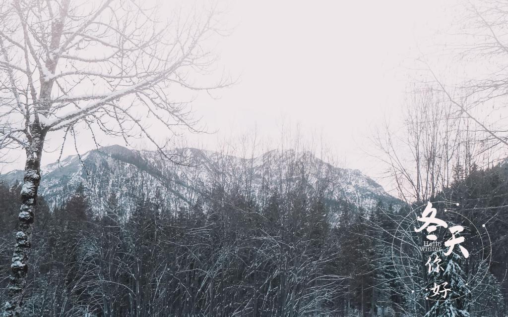 冬天你好优美迷人雪景意境