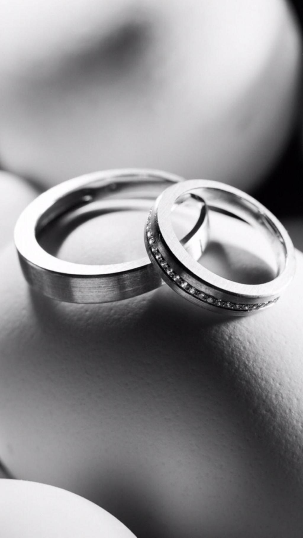 情人节爱情的象征物