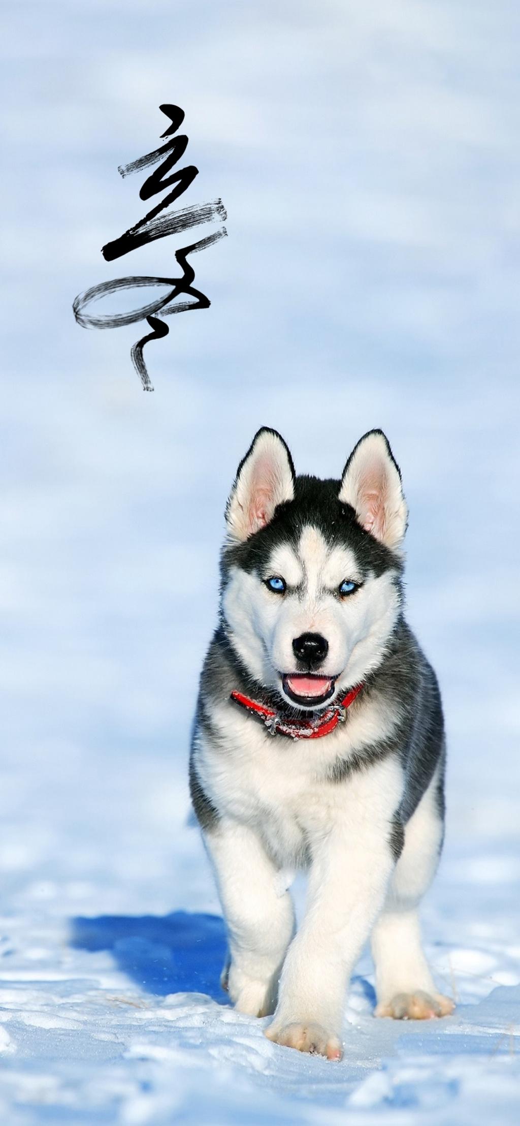 立冬过后冬天来