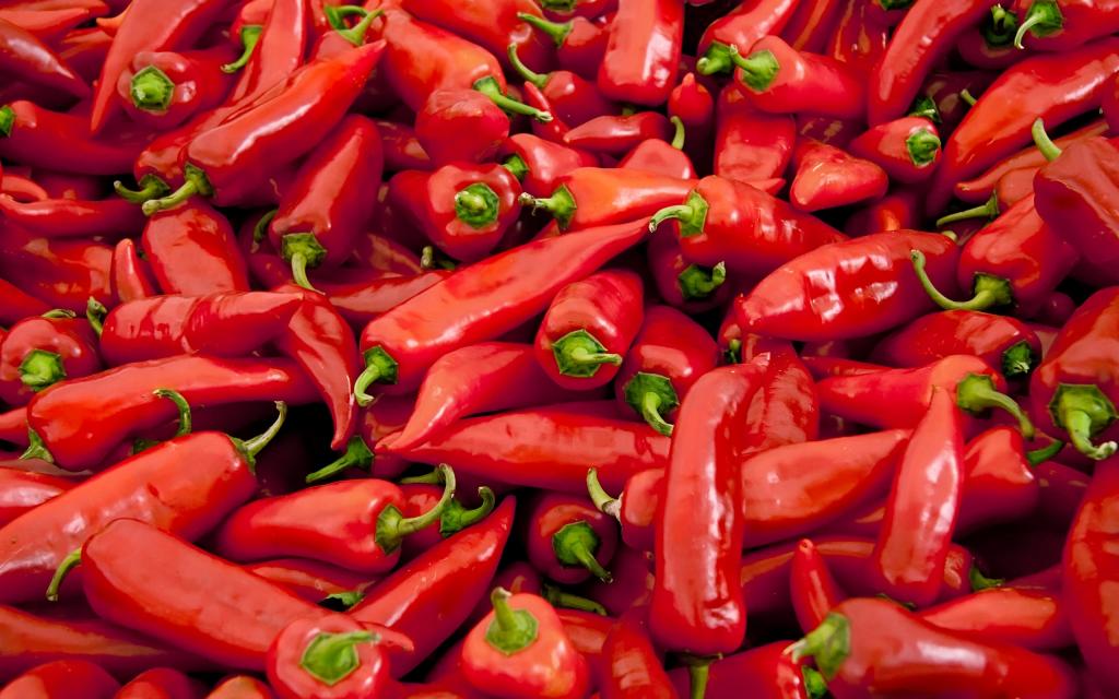 新鲜绿色有机蔬菜