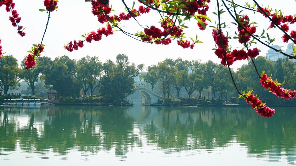 桂林榕湖风光美景摄影