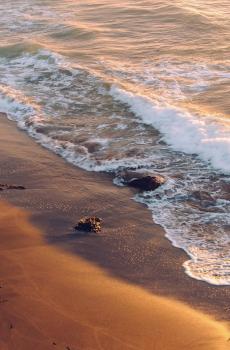 海边沙滩风景-1