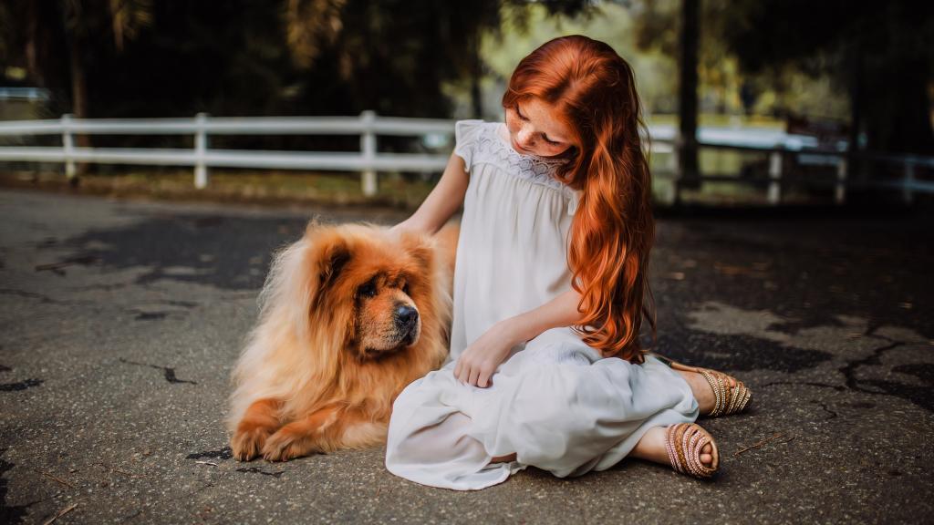 女孩在和狗玩耍