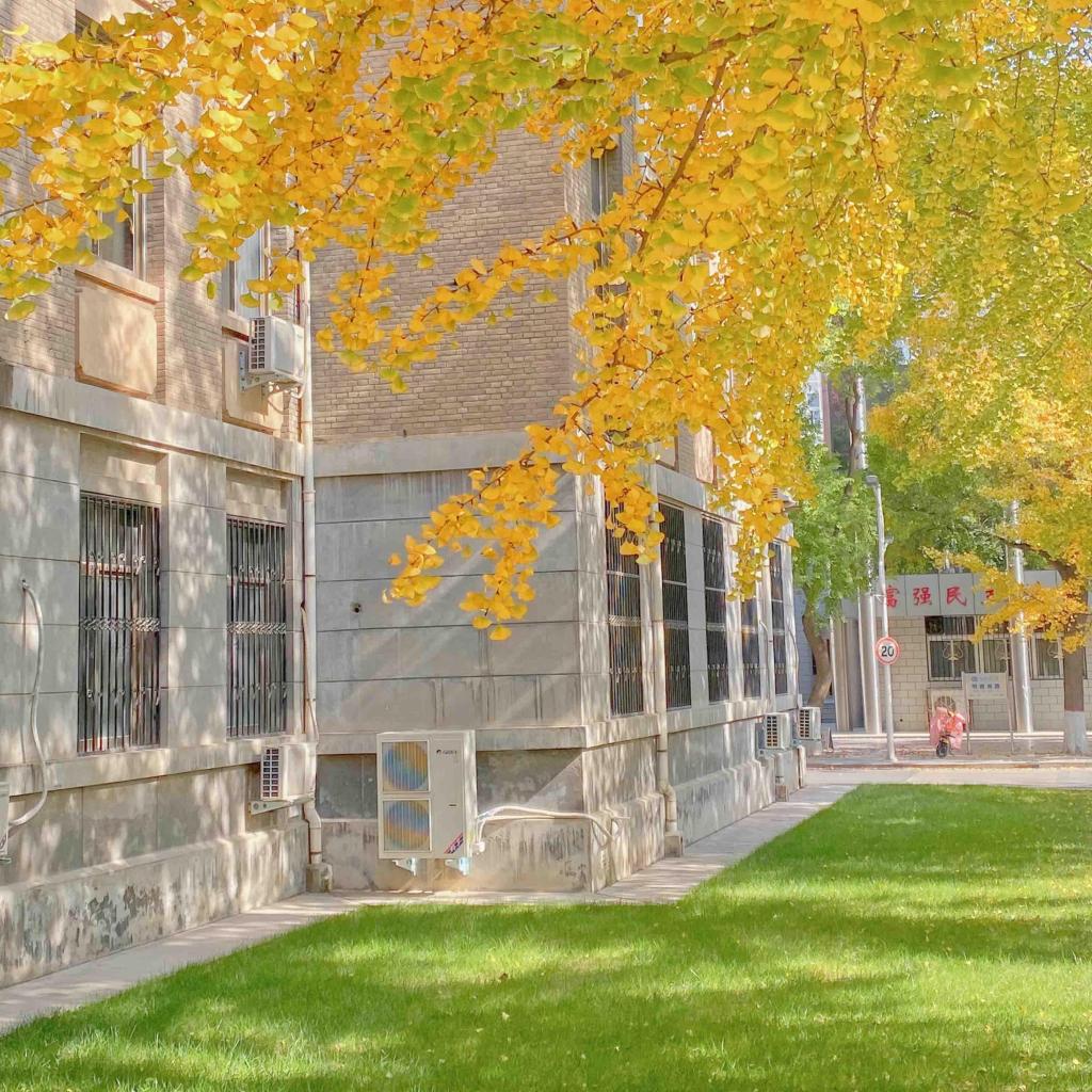 秋天清新迷人自然风光