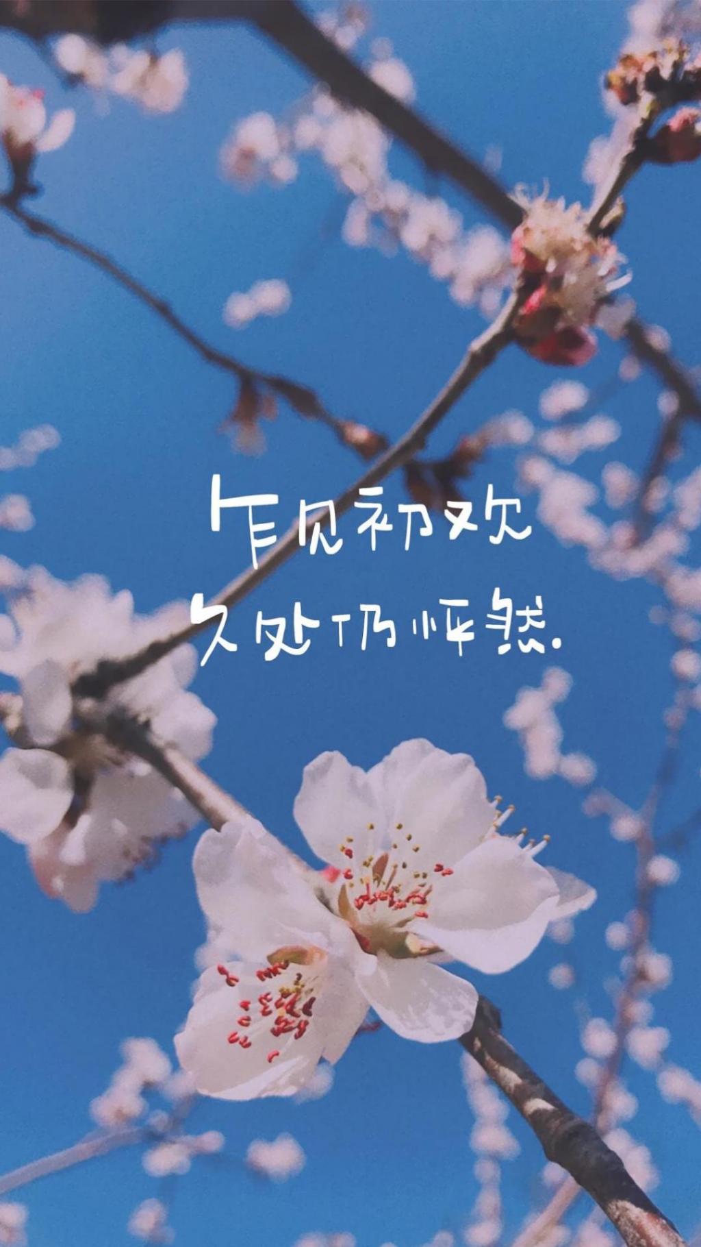 极简唯美心灵鸡汤说说语录