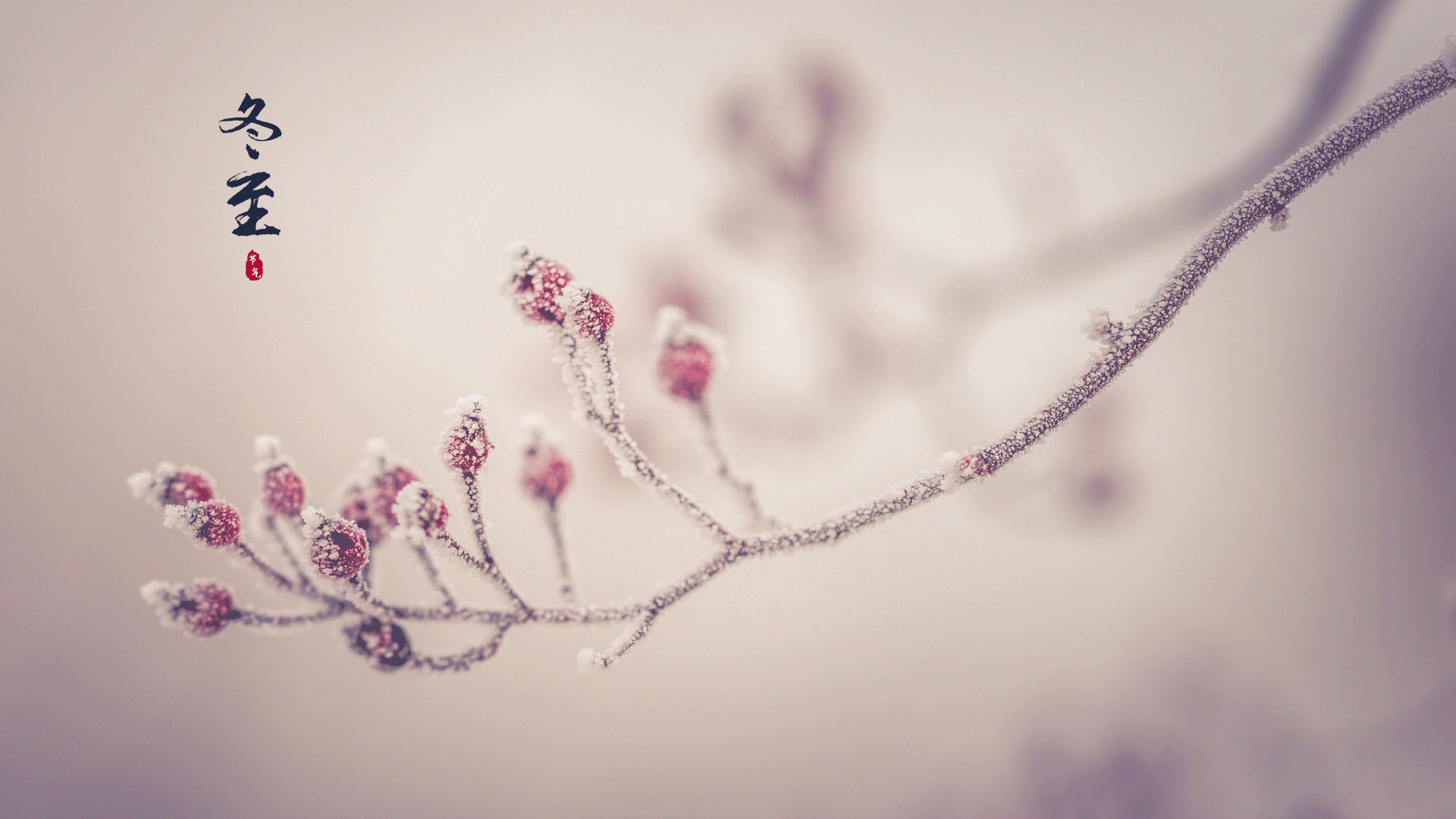 最美的冬至时节