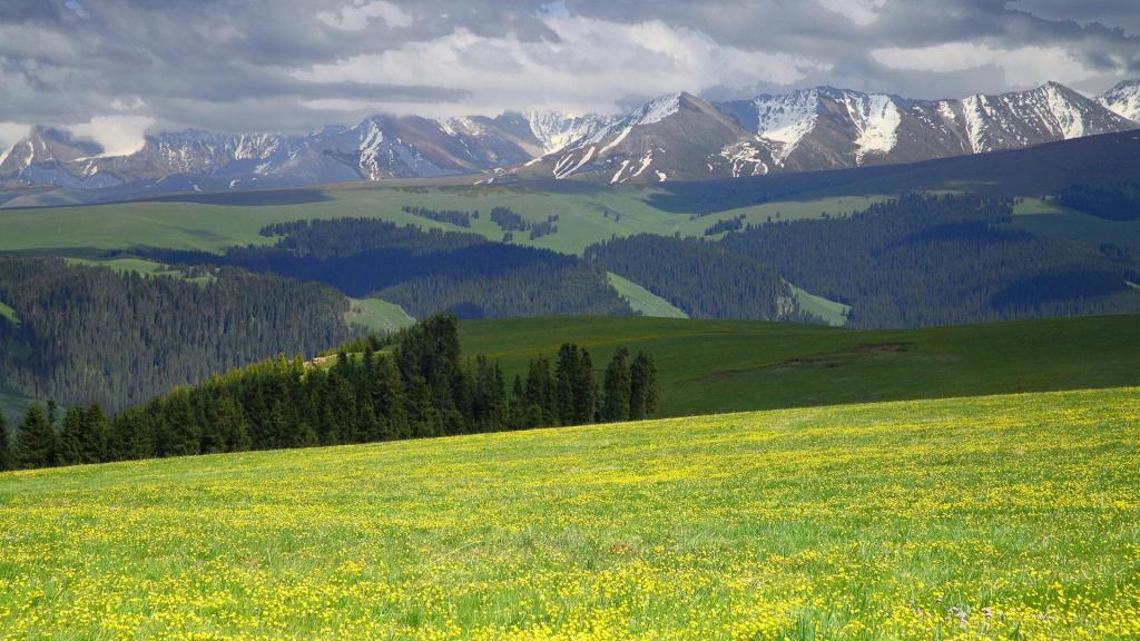 新疆的大草原风光