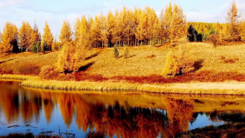 河北承德木兰围场风景