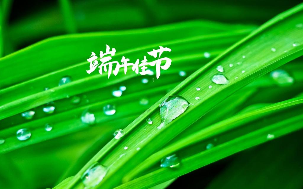 中国传统节日端午节