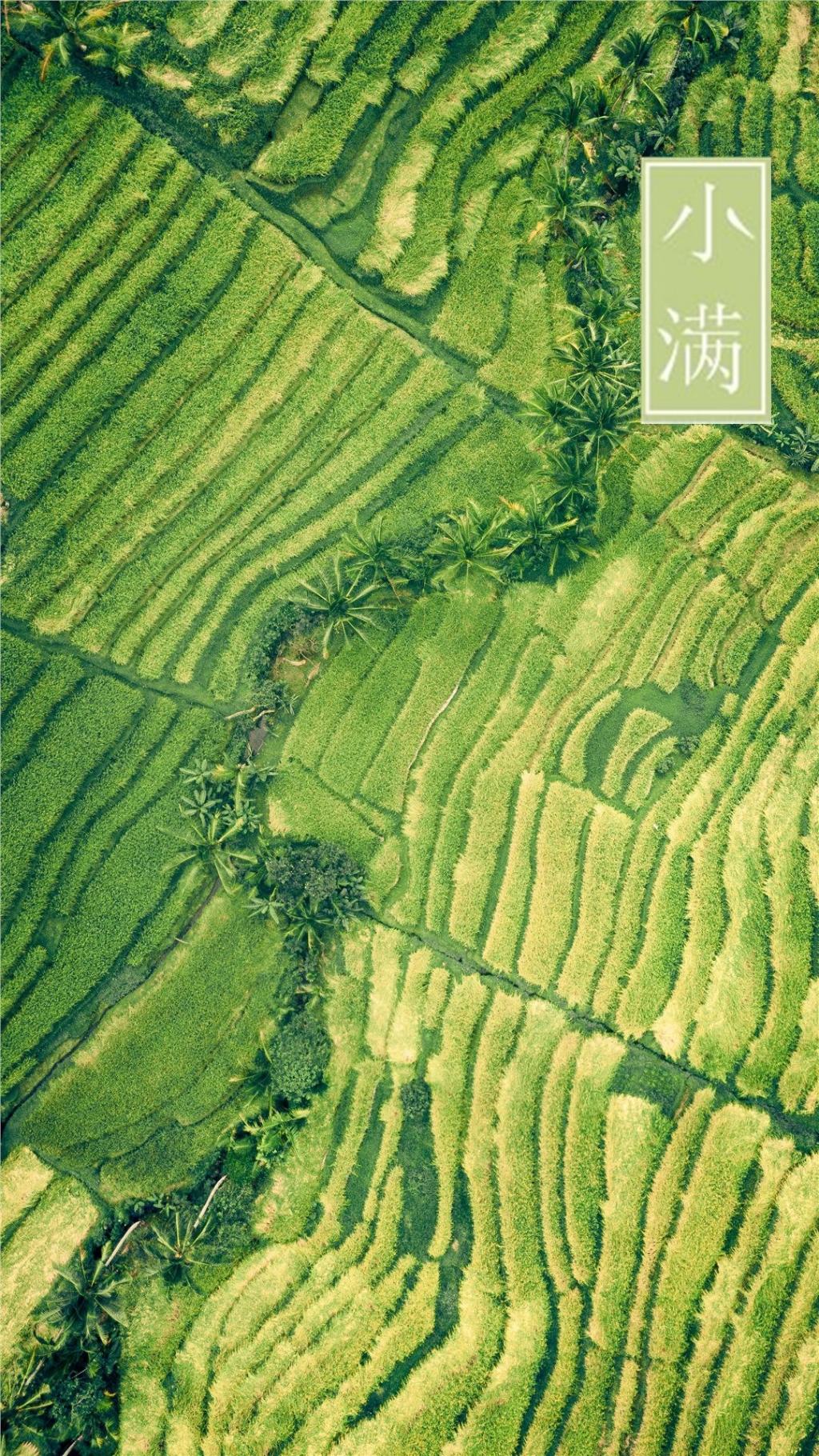 小满清新护眼写真