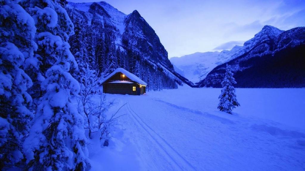 清新护眼的风景