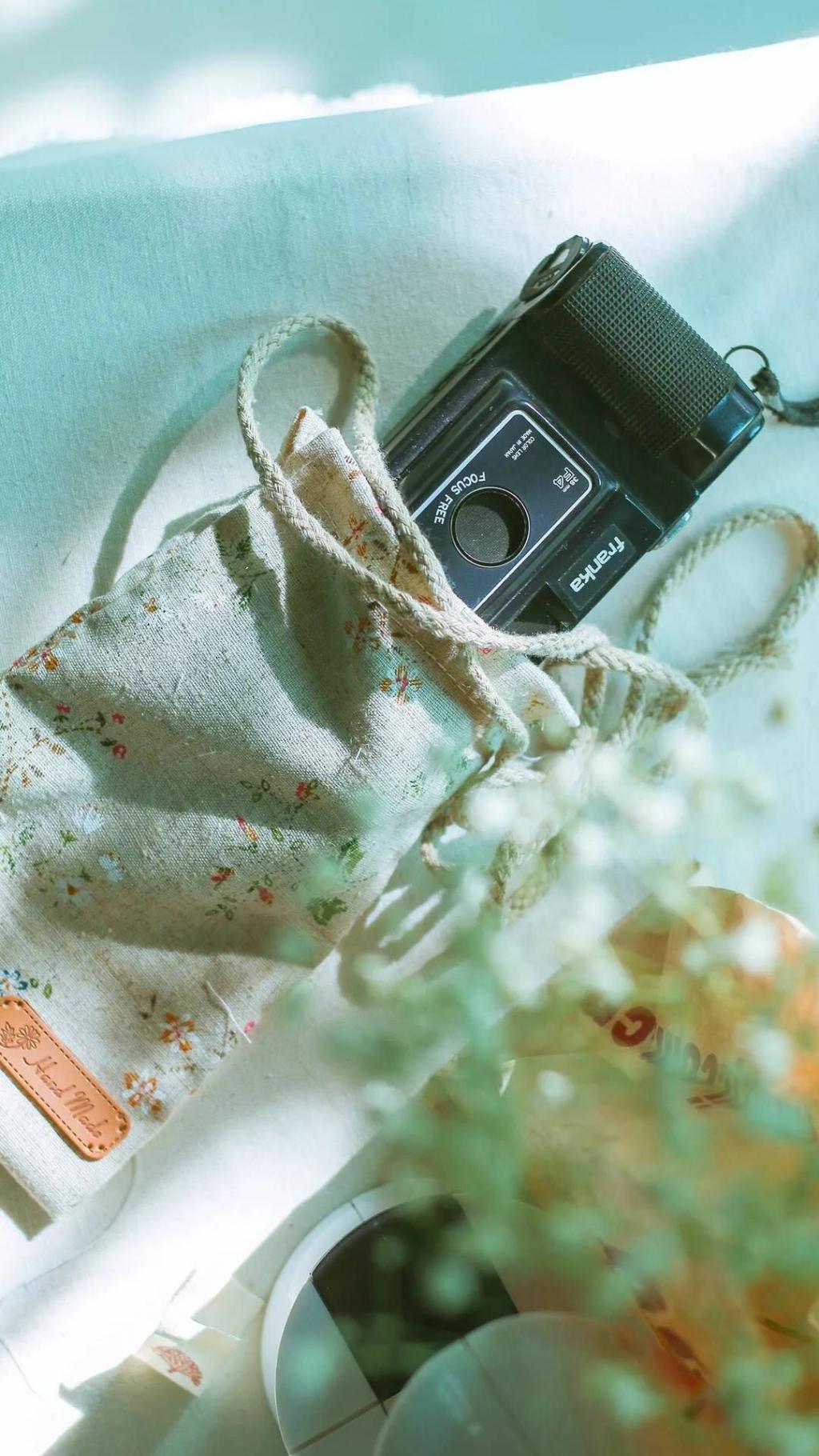 治愈系清新静物写真