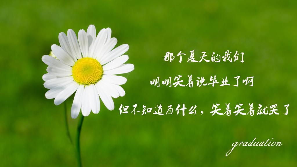 感人的毕业离别文艺短句子图片