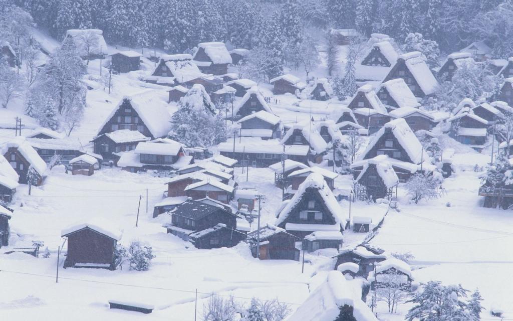 冬季雪景