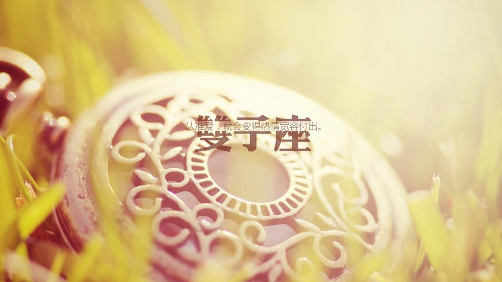 唯美双子座语录