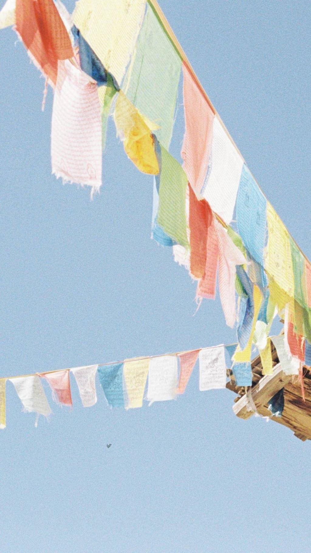 小清新唯美静物图片