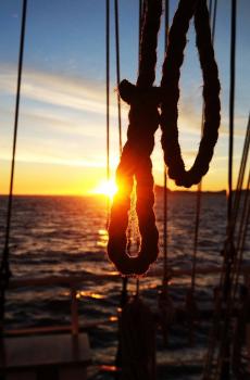 小米5s高清内置壁纸下载