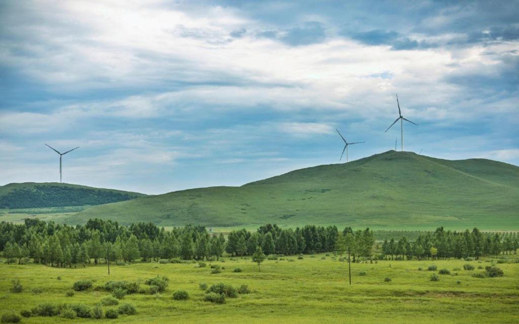 大自然优美风光小清新护眼写真