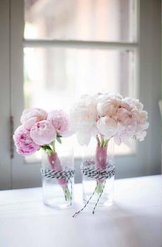 清新淡雅植物花卉图片-5