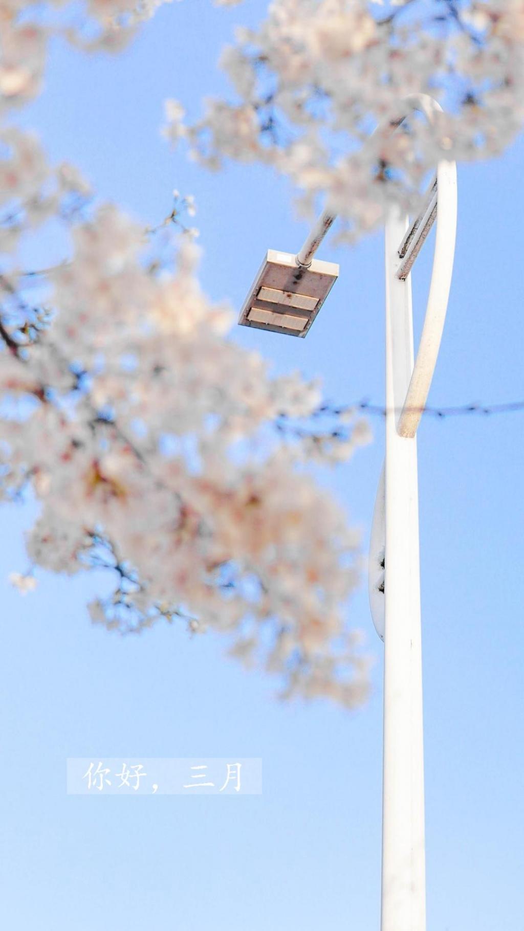 温柔的三月你好