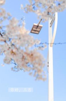 温柔的三月你好-0