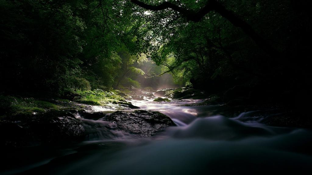 小溪流是恬静的