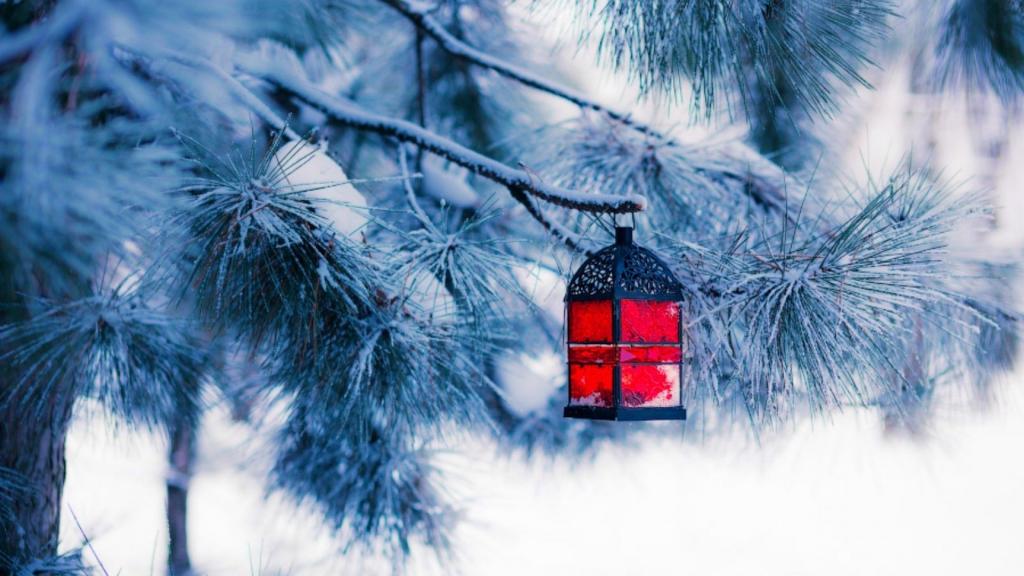 雪天里的大自然