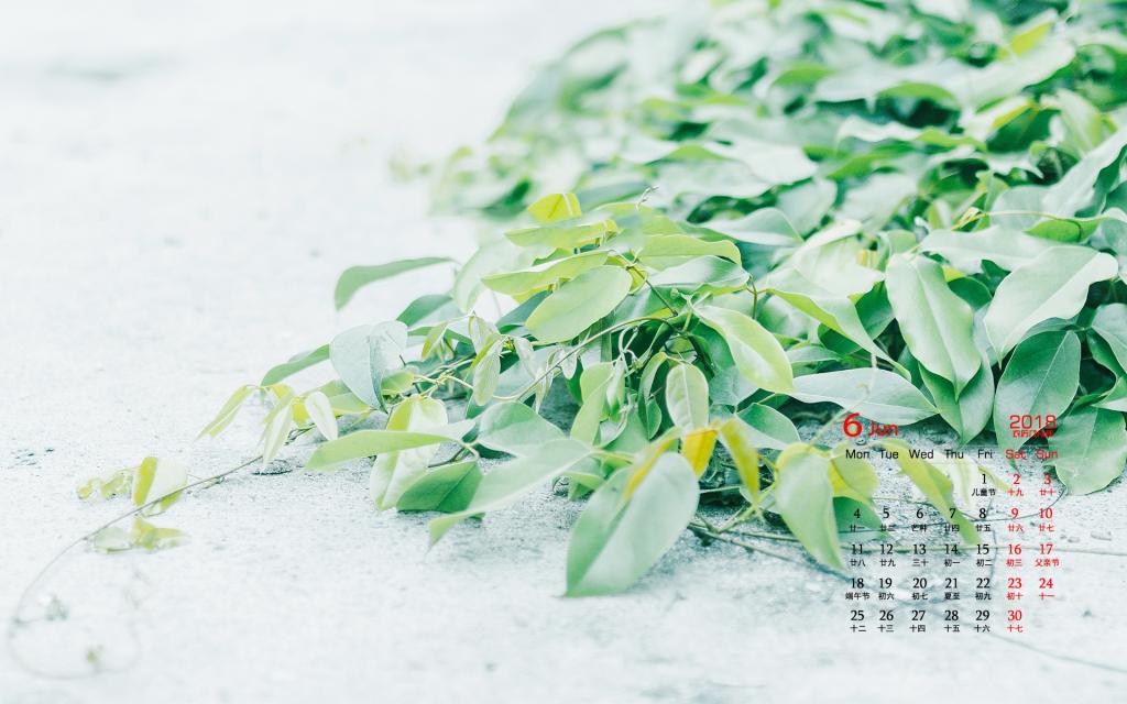 2018年6月小清新植物日历