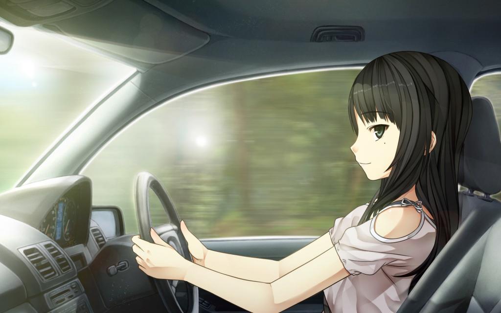 日本成人动漫图片