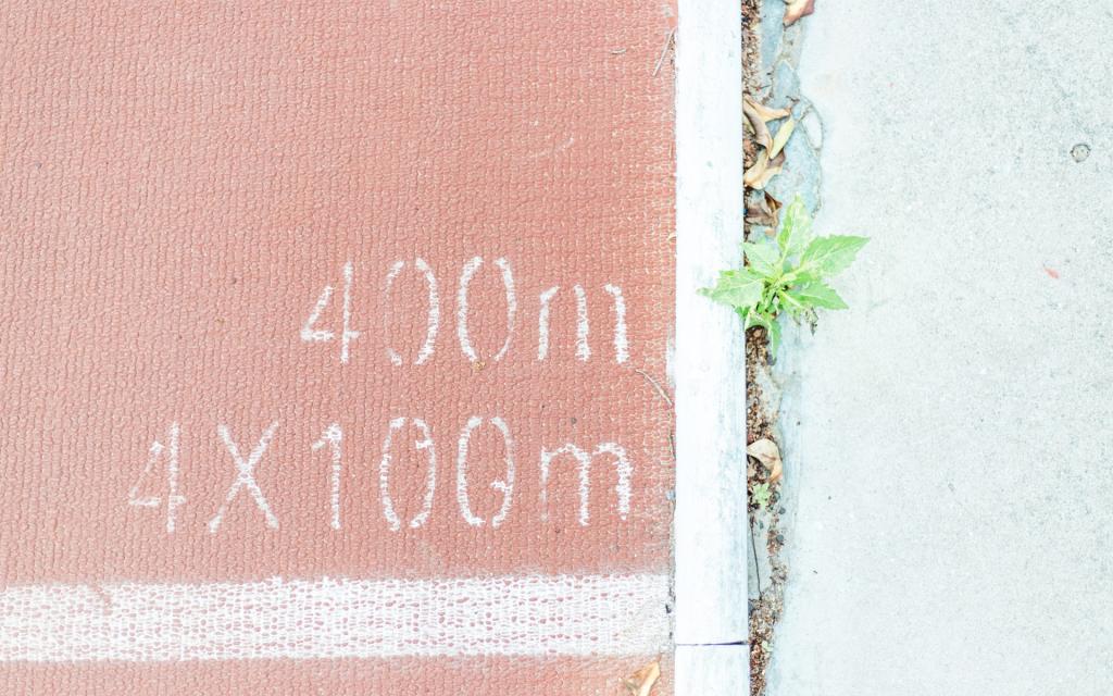 清新唯美户外自然风景