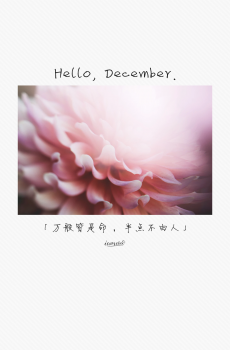 你好,十二月-4