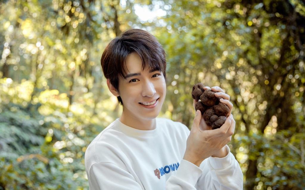 吴昊泽林间阳光清爽帅气写真