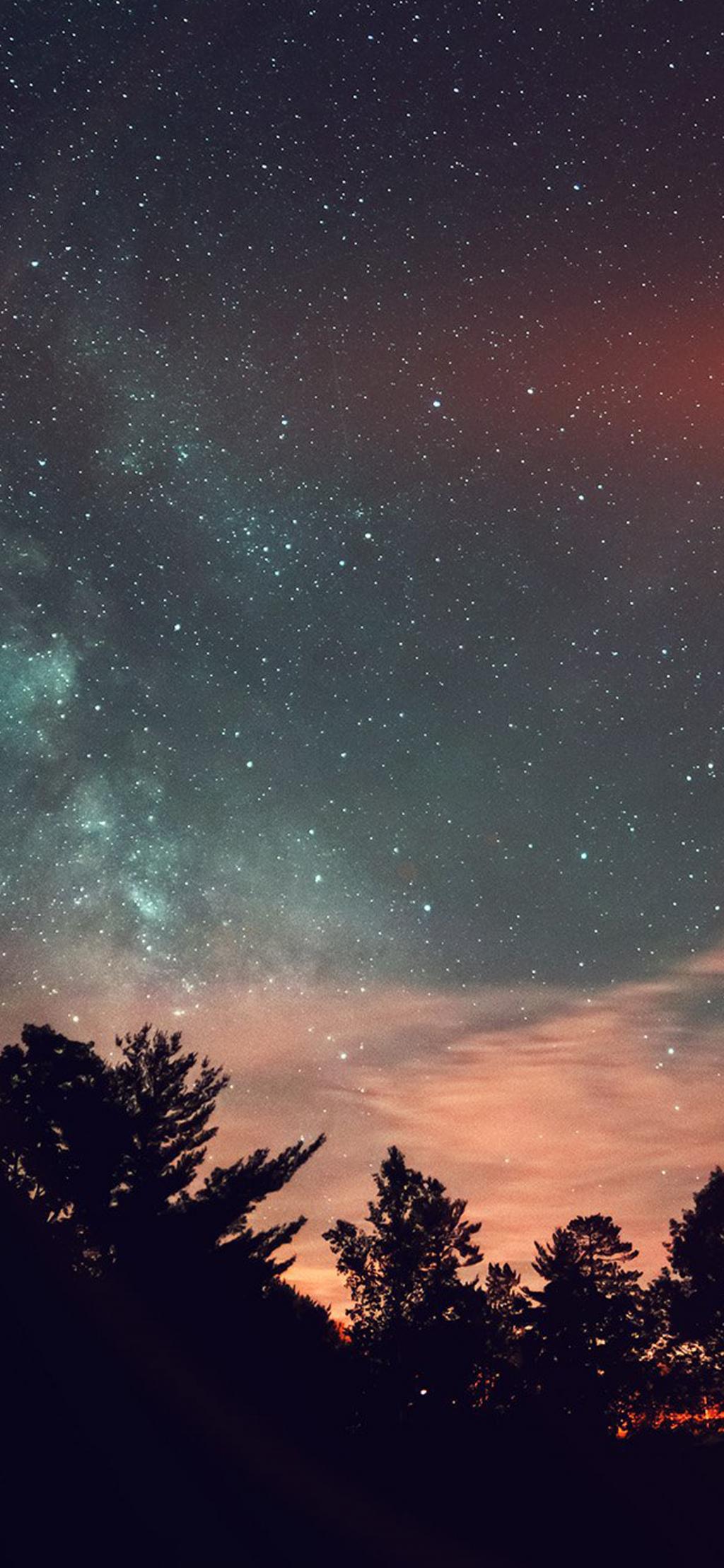 倾听大自然的魅力