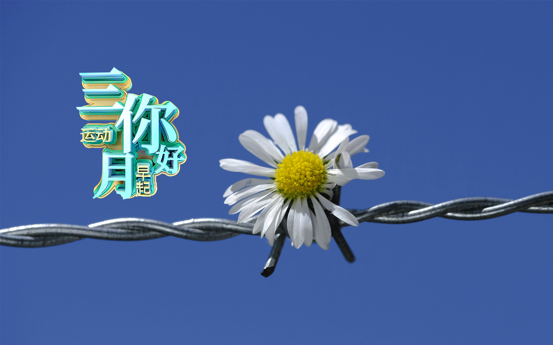 春天来到,三月你好