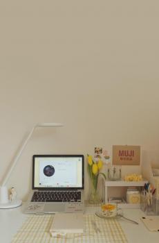 欧美流行ins风简约唯美静物摄影-2