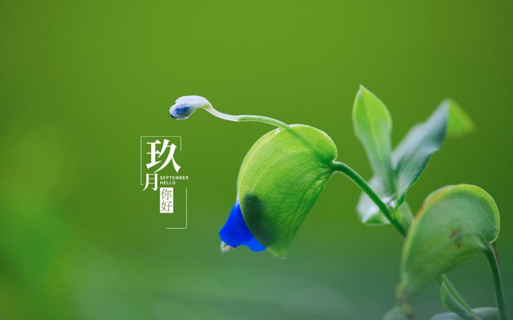 全新的9月你好带字文案