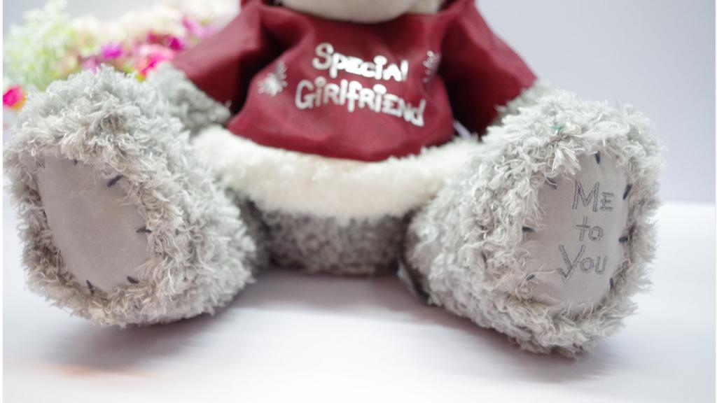 可爱的泰迪熊公仔